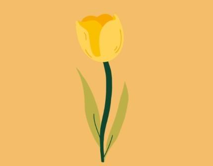 Tulipán deťom