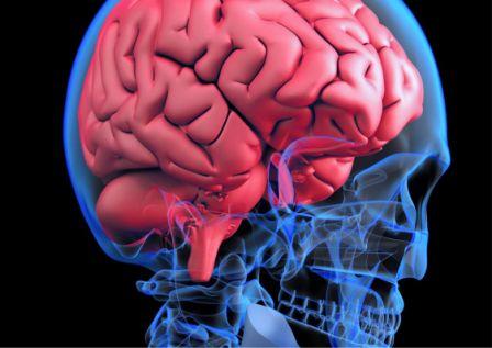 Neurobiológia ľudského vedomia