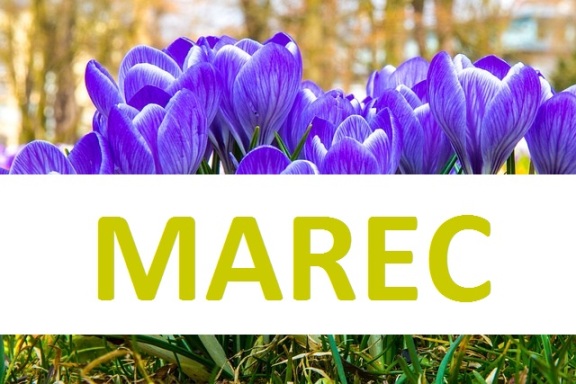 Program podujatí - Marec 2025