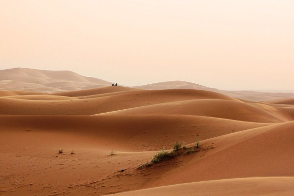 O púštiach